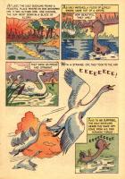 cijr502-19-theuglyduckling