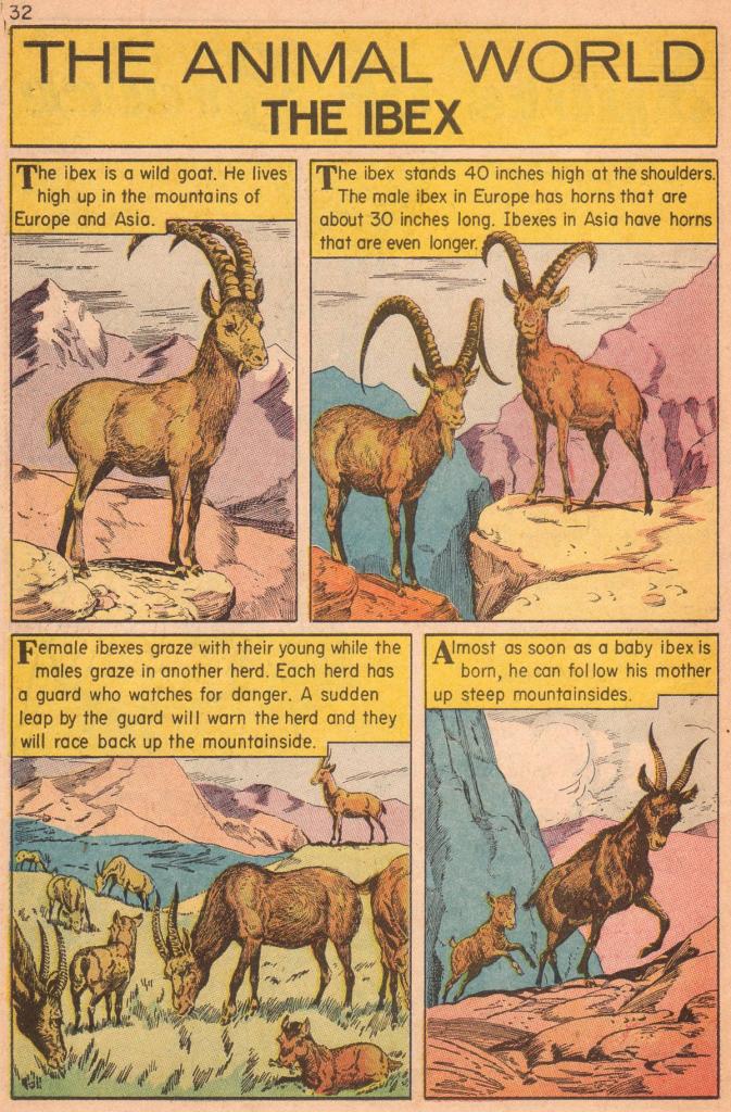 CLASSICS ILLUSTRATED JUNIOR 569 32