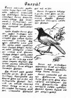 RC238_Page_2