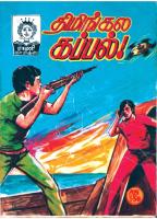 RC072 திமிங்கில கப்பல்