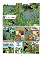 Titin_CotF_37